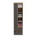 Garderobenschrank >Tennessee I< in eiche/grau - 54x190x35cm (BxHxT)