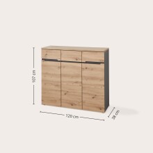 Schuhschrank >Meagan< in Artisan Eiche - 120x107x38cm (BxHxT)