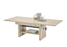 Couchtisch >Event< (B/H/T: 110x48x65 cm) in Artisan...