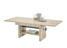 Couchtisch >Event< (B/H/T: 110x48x65 cm) in Artisan...