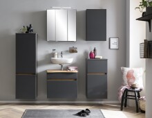 Badezimmerspiegelschrank >Villach< (B/H/T: 60x64x20 cm) in matt grau