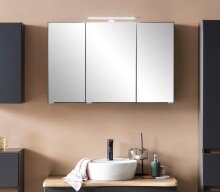 Badezimmerspiegelschrank >Villach< (B/H/T: 100x64x20 cm) in matt grau