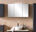 Badezimmerspiegelschrank >Villach< (B/H/T: 100x64x20 cm) in matt grau