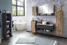 Badezimmerspiegelschrank >Kaprun< (B/H/T: 100x64x20 cm) in graphit