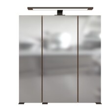 Badezimmerspiegelschrank >Manchester< (B/H/T: 60x64x20 cm) in wotaneiche
