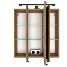 Badezimmerspiegelschrank >Manchester< (B/H/T: 60x64x20 cm) in wotaneiche