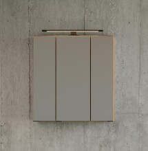 Badezimmerspiegelschrank >Manchester< (B/H/T: 60x64x20 cm) in wotaneiche