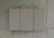 Badezimmerspiegelschrank >Manchester< (B/H/T: 100x64x20 cm) in wotaneiche