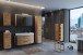 Badezimmerspiegelschrank >Manchester< (B/H/T: 100x64x20 cm) in wotaneiche