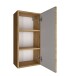 Hängeschrank >Manchester< (B/H/T: 30x64x20 cm) in wotaneiche - 30x64x20 (BxHxT)