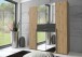 Kleiderschrank >Denver< (B/H/T: 180x208x58 cm) in Artisan-Eiche-Nachbildung