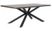 Esstisch >ARNO< (B/H/T: 200x75x100 cm) Wildeiche Furniert SMOKED