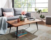 Couchtisch >Tanjore< (B/H/T: 110x40x60 cm) in Sheesham - 110x40x60 (BxHxT)
