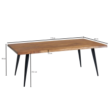Couchtisch >Tanjore< (B/H/T: 110x40x60 cm) in Sheesham - 110x40x60 (BxHxT)