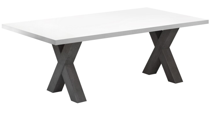 Couchtisch >Mister< (BxHxT: 120x47x70 cm) in graphit / weiß matt lack