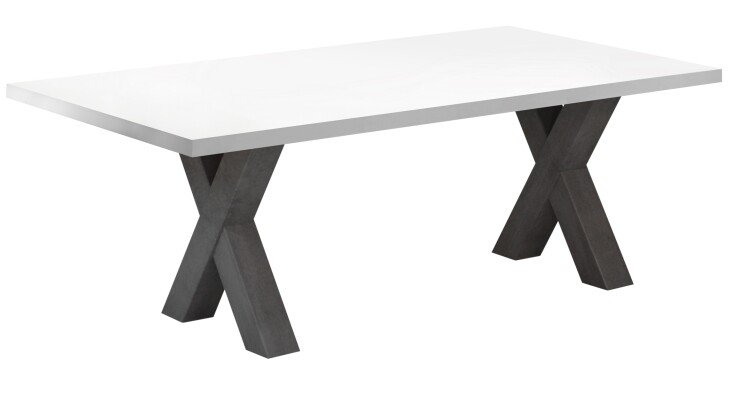 Couchtisch >Mister< (BxHxT: 120x47x70 cm) in graphit / weiß matt lack