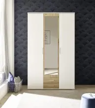 Kleiderschrank >Hanau< (BxHxT: 120x196x54 cm) in...