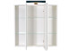Spiegelschrank >Lofti< in Weiß - 70x69x19cm (BxHxT)