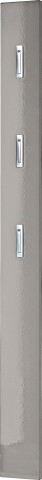 Garderobenpaneel >M-397< (BxHxT: 15x170x3 cm) in grau - 15x170x3 (BxHxT)