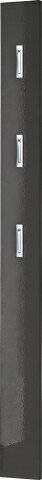 Garderobenpaneel >M-397< (BxHxT: 15x170x3 cm) in anthrazit - 15x170x3 (BxHxT)