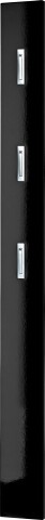 Garderobenpaneel >M-397< (BxHxT: 15x170x3 cm) in schwarz - 15x170x3 (BxHxT)