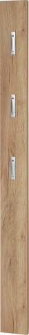 Garderobenpaneel >M-381< (BxHxT: 15x170x3 cm) in braun - 15x170x3cm (BxHxT)