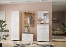 Garderobenpaneel >M-389< (BxHxT: 75x106x30 cm) in braun - 75x106x30cm (BxHxT)