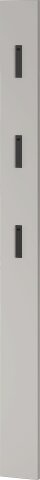 Garderobenpaneel >M-405< (BxHxT: 15x170x3 cm) in beige - 15x170x3cm (BxHxT)