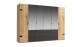Kleiderschrank >Detroit< (BxHxT: 300x216x58 cm) in Plankeneiche