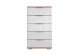 Hochkommode >Easy Plus< (BxHxT: 49x102x41 cm) in Plankeneiche