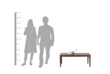 Couchtisch >BOSSE< (BxHxT: 115x45x60 cm) in braun - 115x45x60 (BxHxT)