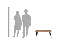 Couchtisch >CADDY< (BxHxT: 110x45x60 cm) in braun - 110x45x60 (BxHxT)