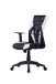 Chefsessel >FLASH< (BxT: 56,5x60,5 cm) in schwarz/weiß - 56,5x60,5 (BxT)