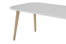 Couchtisch >LASSE< (BxHxT: 110x46x55 cm) in weiß - 110x46x55cm (BxHxT)
