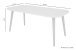 Couchtisch >LASSE< (BxHxT: 110x46x55 cm) in weiß - 110x46x55cm (BxHxT)