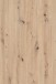 Hochschrank >WELLNESS< (BxHxT: 54x193x31 cm) in Eiche/Artisan