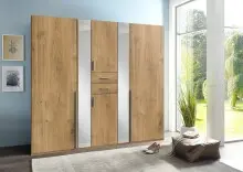Kleiderschrank >VANEA< (BxHxT: 225x210x58 cm) in...