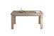 Esstisch >PORTUM< (BxHxT: 159,5x76,4x89,5 cm) in Dekor Flagstaff Eiche