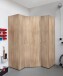 Mehrzweckschrank >MULTIRAUMKONZEP< (BxH: 80x185 cm) EICHE SAEGERAU