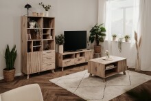 TV-Board >Wellington< (BxHxT: 140x50x40 cm) in Schwedeneiche - 140x50x40 (BxHxT)