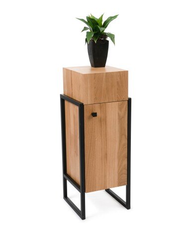Beistellschrank >Bolzano< (BxHxT: 30x80x30 cm) in Wildeiche - 30x30 (BxT)
