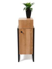 Beistellschrank >Bolzano< (BxHxT: 30x80x30 cm) in Wildeiche - 30x30 (BxT)