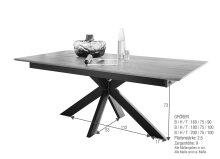 Esstisch >TI-0595< (BxHxT: 200x75x100 cm) in natur geölt - 200x75x100 (BxHxT)
