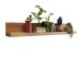 Wohnzimmer-Set >WZ-0169< (BxHxT: 337,6x204,1x40 cm) in natur geölt
