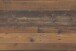 Esstisch >Ariana< in Oldwood/Schwarz aus Holzwerkstoff - 160x76x80cm (BxHxT)