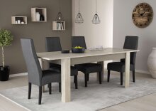 Stuhl >Elite< (2er Set) in dunkel Grau aus Stoffbezug - 47x109x65cm (BxHxT)