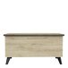 Couchtisch >Alba< in Dekor Kronberg - 95x54x48cm (BxHxT)