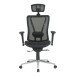 Bürostuhl >Upsilon< in schwarz aus Mesh/PU/Polyester - 65x121x60cm (BxHxT)
