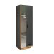 Garderobenschrank >Synnax< in Anthrazit Melamin/Coast Evoke Eiche Nachbildung