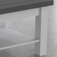 Couchtisch >MIAMI< in Weiß/Grau aus Holz - 120x46,5x60cm (BxHxT)